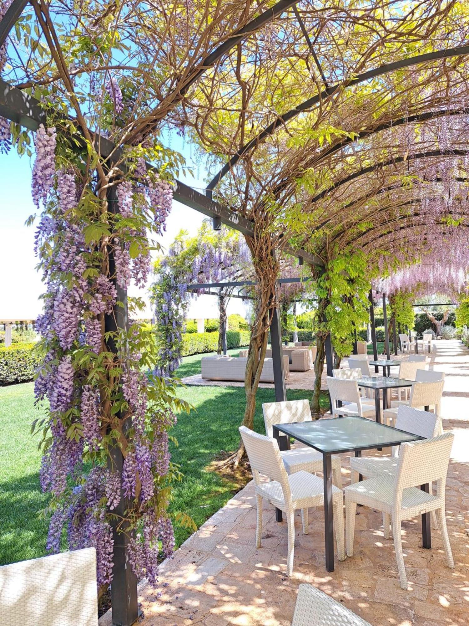 Relais Il Santissimo Hotel Turi Buitenkant foto