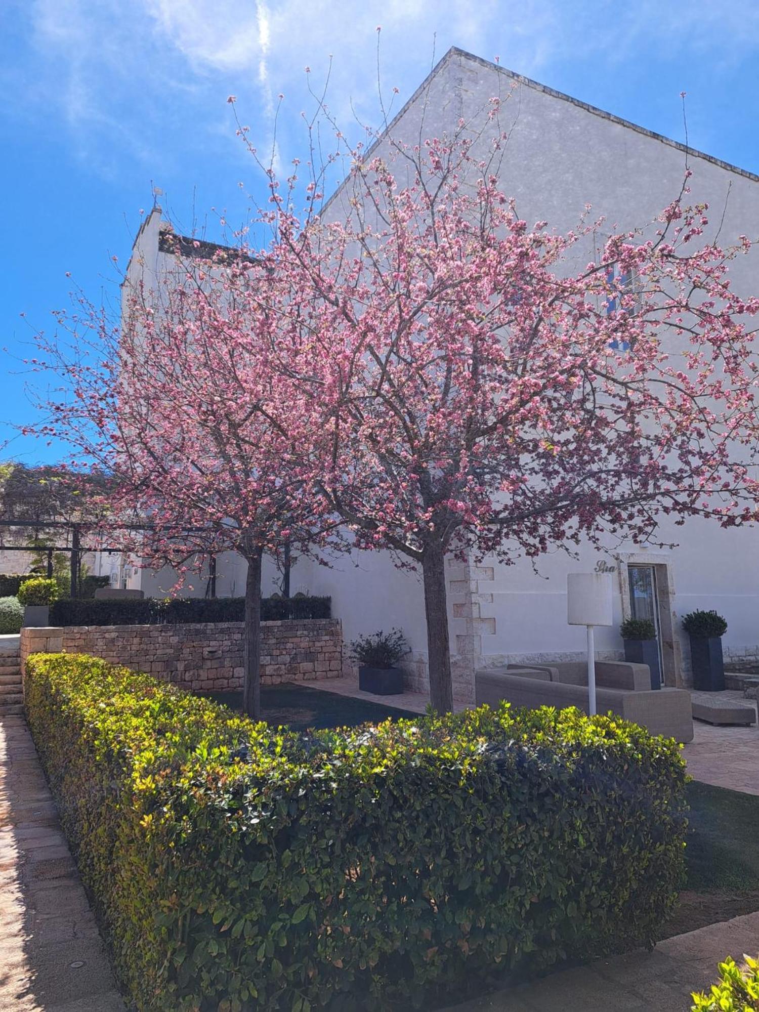 Relais Il Santissimo Hotel Turi Buitenkant foto